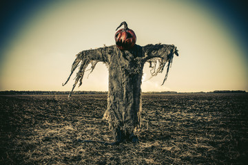 scarecrow on halloween