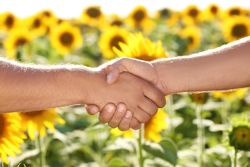 Poster - Two men shaking hands in sunflower field, closeup