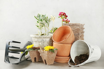 Wall Mural - Composition with plants and gardening tools on light background