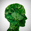 © freshidea - Ginkgo Biloba leaf Head