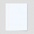 © Maxim Stepanov - Realistic school notebook paper. Squared sheet