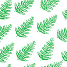 Fern Branch Seamless Doodle Pattern. Vector Background For Texti