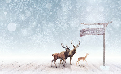 deer arriving at the north pole 3d rendering