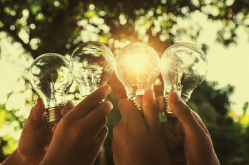 solar energy concept hand group holding light bulb in nature