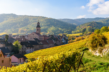 Beautiful autumn landscape with vineyards near the historic village of Riquewihr, Alsace, France - Europe. Colorful travel and wine-making background. Travel destination for vacation.