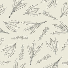 Wall Mural - Botanical seamless pattern with turmeric leaves and inflorescences. Herbaceous plant hand drawn with contour lines on light background. Monochrome vector illustration for textile print, wallpaper.