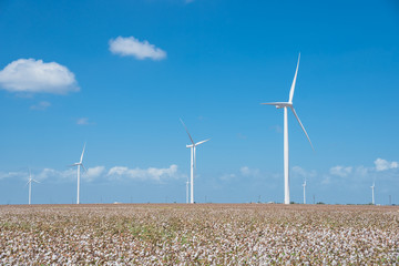 Wall Mural - Row of wind turbines with cotton fields again blue cloud sky in Corpus Christi. Enormous size windmills generate clean, sustainable and green energy source.  Future of renewable power concept.