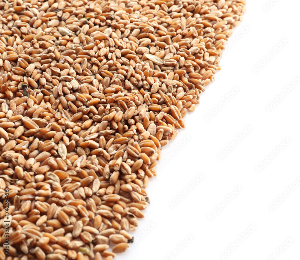 Ripe cereal grains on white background