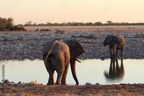 Zdjęcie XXL Safari w Namibie
