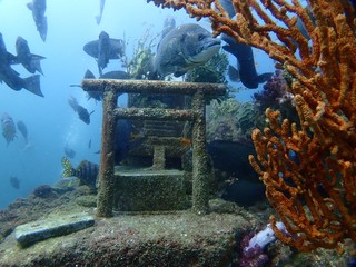 Japanese sea shrine 日本の海中神社