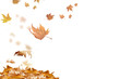 falling leaves in autumn background isolated space for your text