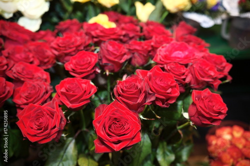 Mazzo Di Rose Rosse Buy This Stock Photo And Explore Similar Images At Adobe Stock Adobe Stock