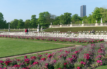 Canvas Print - jardin du Luxembourg