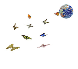 Wall Mural - Butterfly flying to planet Earth.Elements of this image furnished by NASA