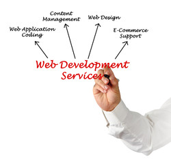 Wall Mural - Web development service
