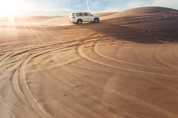 desert safari. offroad safari.