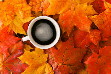 Wall Mural - creative background woth maple leaves