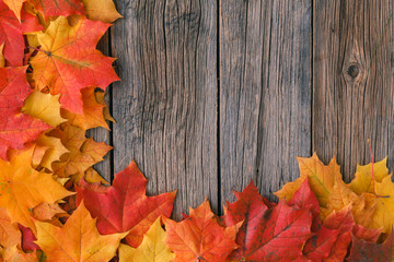 Wall Mural - Fall background with maple leaves on wood table