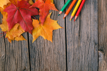 Wall Mural - art workplace in fall maple leaves.