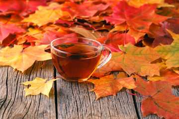 Wall Mural - relax time in fall season. red maple leaf on table