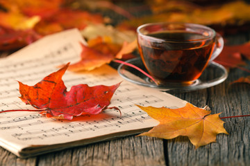 Wall Mural - fall creative art concept, maple leaves on table