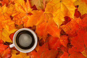 Wall Mural - fall maple leaf on wooden table, background texture