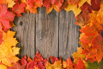 Wall Mural - Creative background woth maple leaves