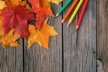 Wall Mural - creative background woth maple leaves