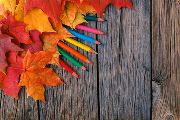 Wall Mural - fall background with maple leaves on wood table
