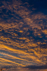 Wall Mural - Expressive clouds and sky