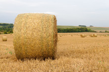 Large Bales Of Hay In A Field After Harvesting
