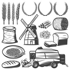 Canvas Print - Vintage Agriculture Elements Set