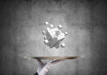Wall Mural - Hand of waitress presenting cubes on tray.