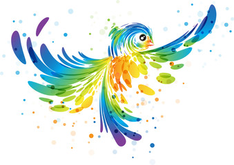 splash colorful fantasy bird