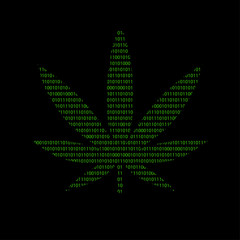 Poster - Hacker - 101011010 Icon - Marihuana