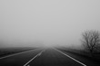 © Helene Cyr Photography/Stocksy - Fog on the road