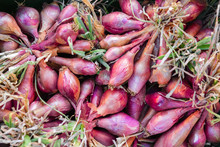 Fresh Purple Onion At An Organic Vegetable Market