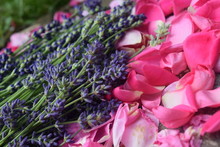 Lavender Petals Alongside Rose Petals 3