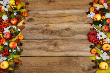  Thanksgiving background pumpkins, apples, rowan berries and white flowers