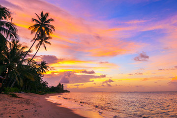 Wall Mural - Beautiful sunset on Bang Po beach. Koh Samui in Thailand.