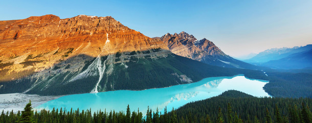 Sticker - Peyto lake