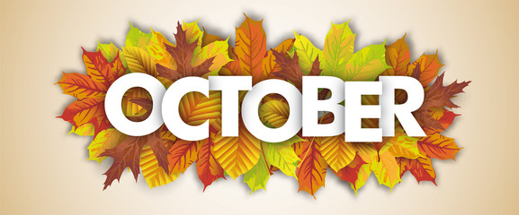 Wall Mural - autumn foliage october header