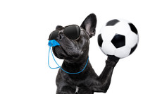 Referee Dog With Whistle