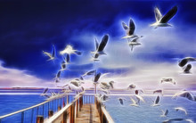 Flock Of Seagulls Flying From A Dock To The Sea