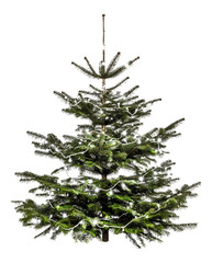 Poster - Tannenbaum mit Lichterkette