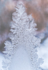 Wall Mural - Frosty pattern in the form of Christmas tree on winter window glass.