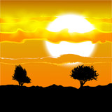 Fototapeta Zwierzęta - Illustration of several tree silhouette under the African sun and clouds.