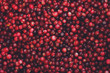 red ripe cranberry in bulk close-up