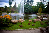 Fototapeta  - Łabędź, kaczki i fontanna - atrakcja turystyczna w Parku Zdrojowym, Ciechocinek, Polska 