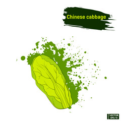 Wall Mural - Coloured sketch vegetables. Chinese cabbage.